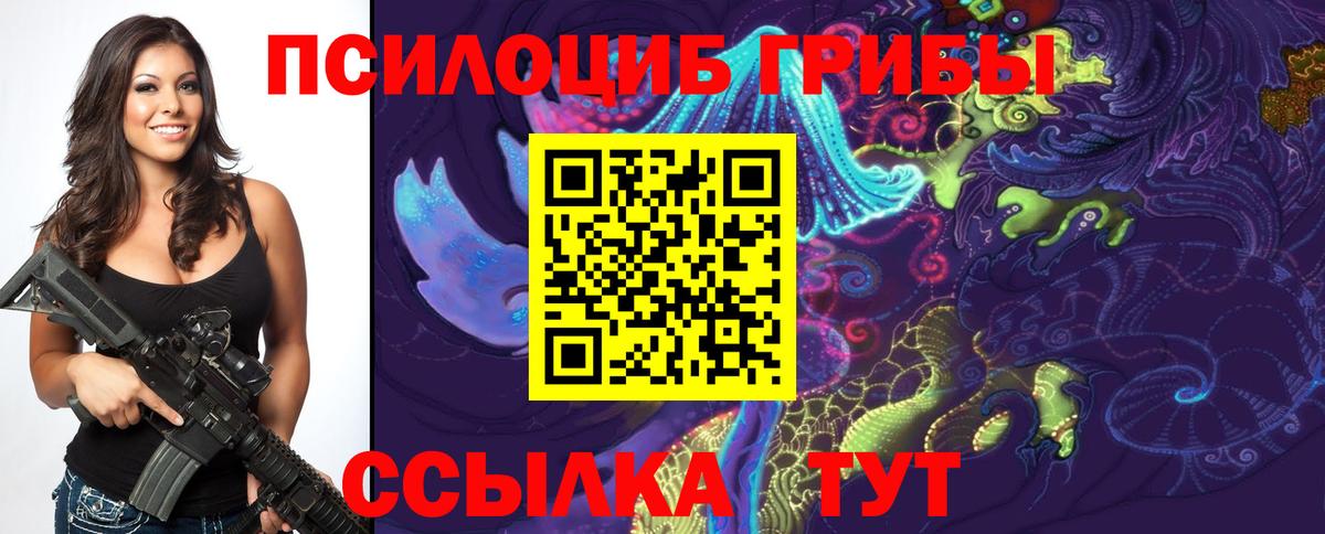 Псилоцибиновые грибы Psilocybine cubensis Дербент